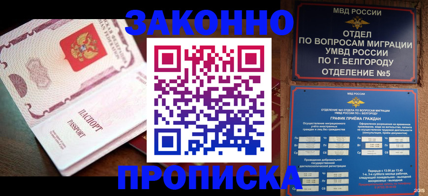 временная регистрация для школы в Вязьме